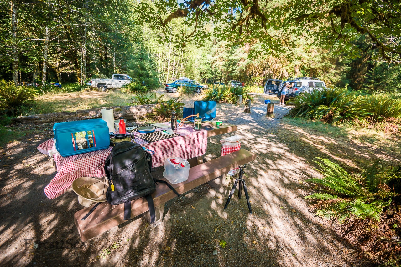 Camp Setup in Olympic National Park, WA