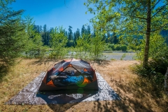 Hoh River Camping