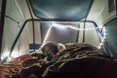 CrtrGrl & Indi all comfy cozy in the roof top tent