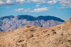 Hues of the desert