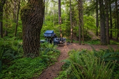 Our campsite in a small campground in the Gifford Pinchot Nation